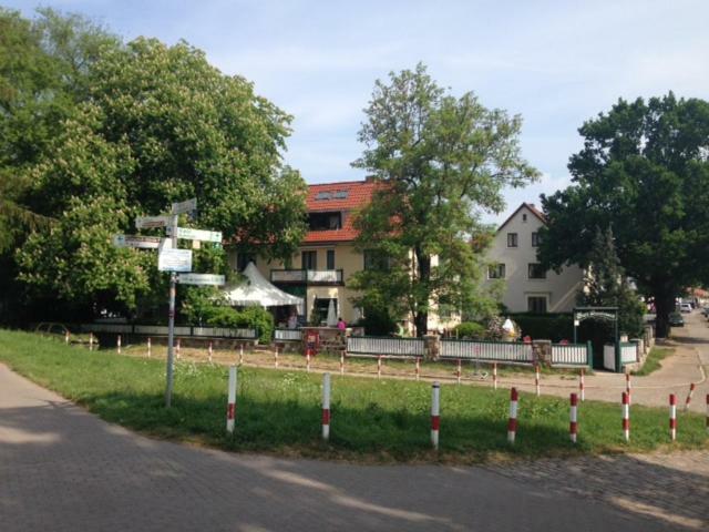 Cafe'Seestrasse Magdeburg Eksteriør bilde